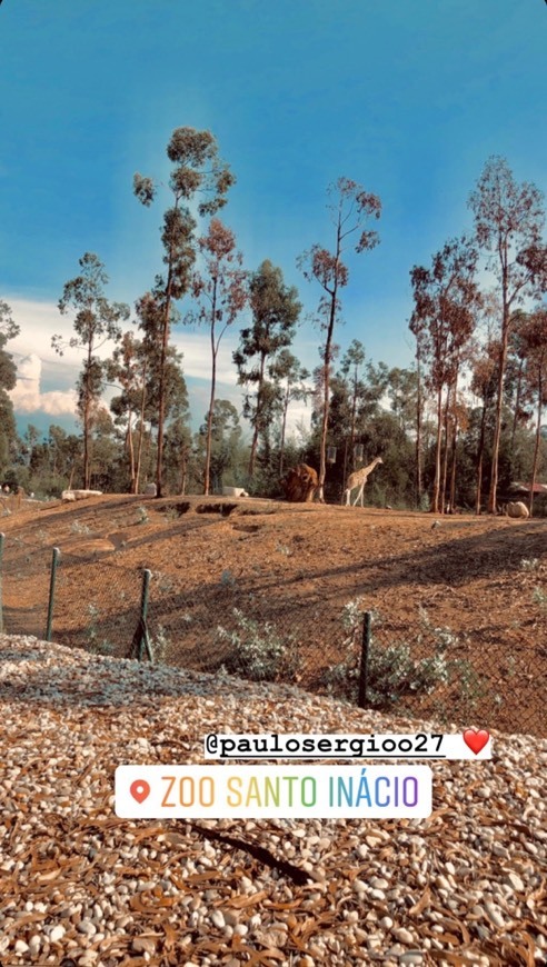 Lugar ZOO Santo Inácio