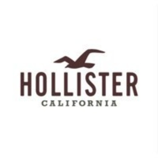 HOLLISTER