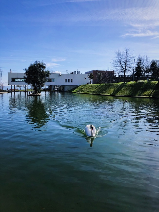 Place Jardim do Lago