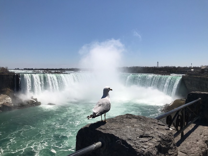 Lugar Niagara Falls