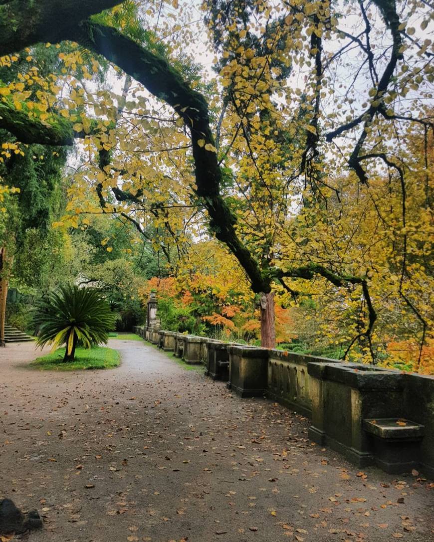 Place Jardim Botânico da Universidade de Coimbra