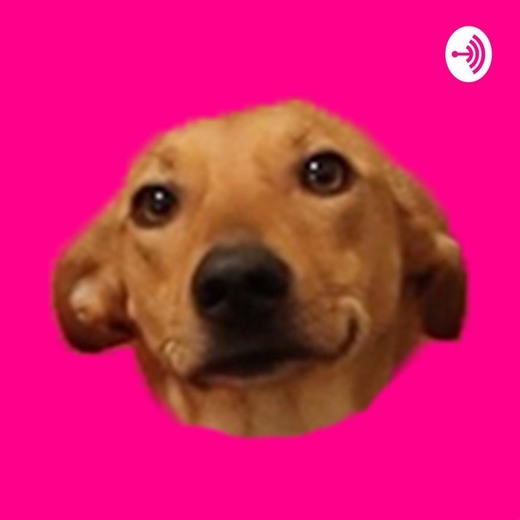 Os Animais Também Falam Podcast