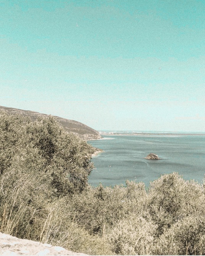 ARRÁBIDA