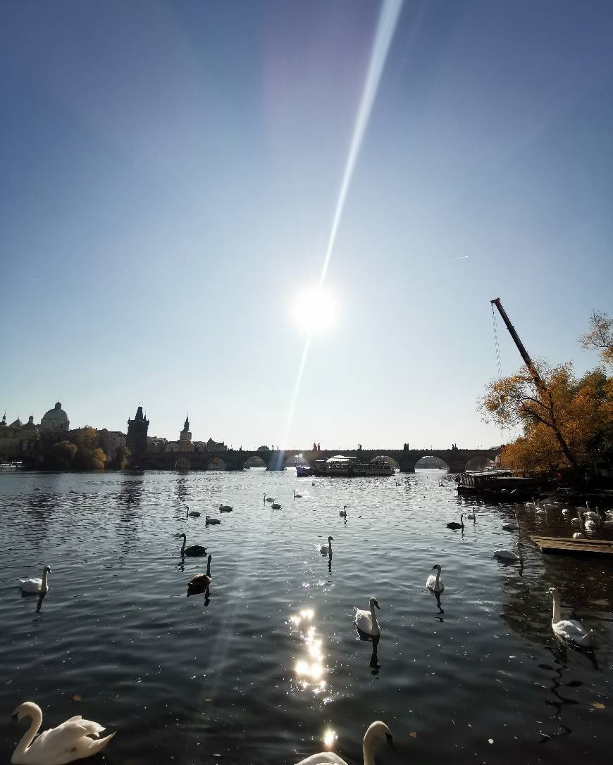 Place Praga