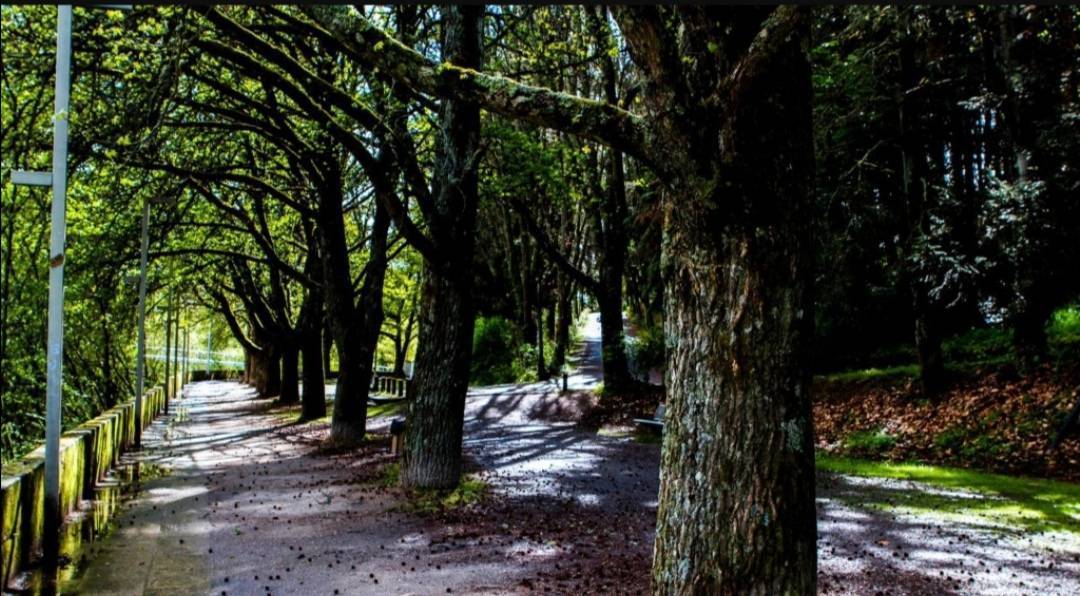 Lugar Parque Florestal