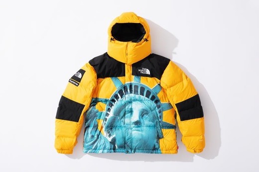 Supreme X The North Face Jacket