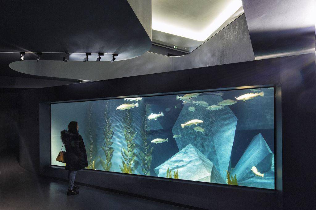 Lugar Museu Marítimo de Ílhavo e Aquário dos Bacalhaus