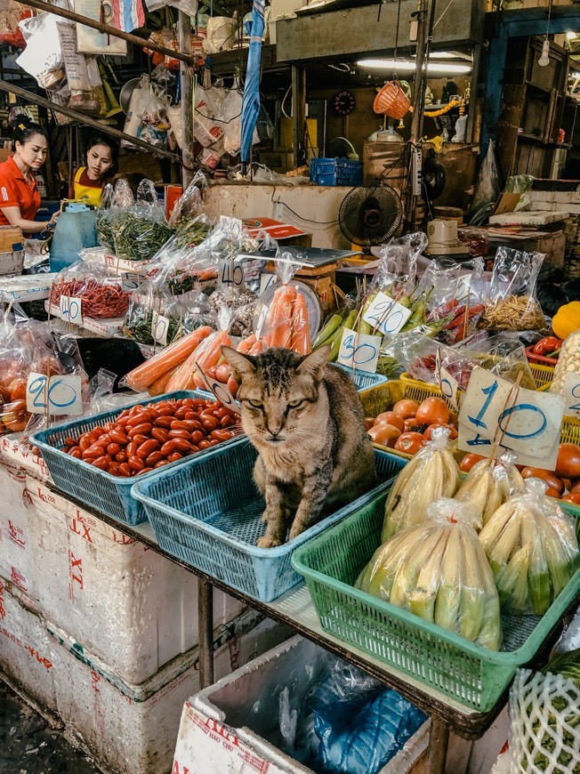 Place Khlong Toei Market