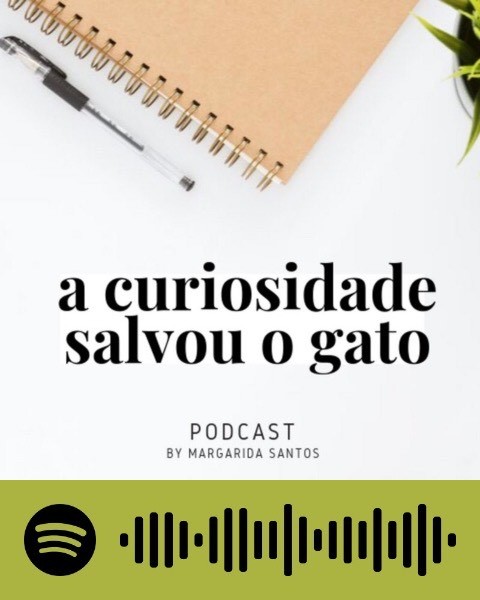 A Curiosidade Salvou o Gato