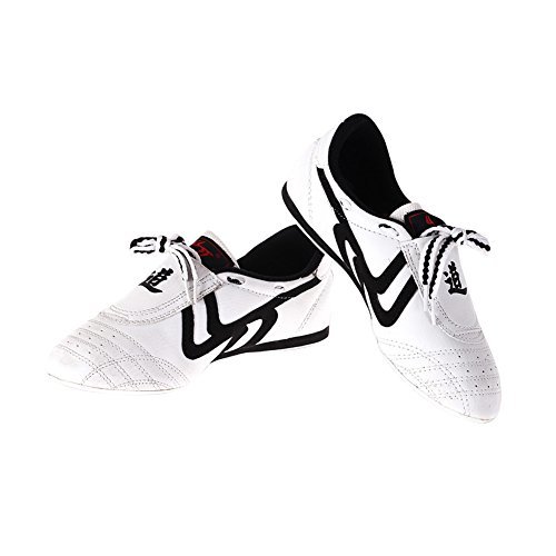 Zapatos de Taekwondo, Zapatos Antideslizantes de Artes Marciales