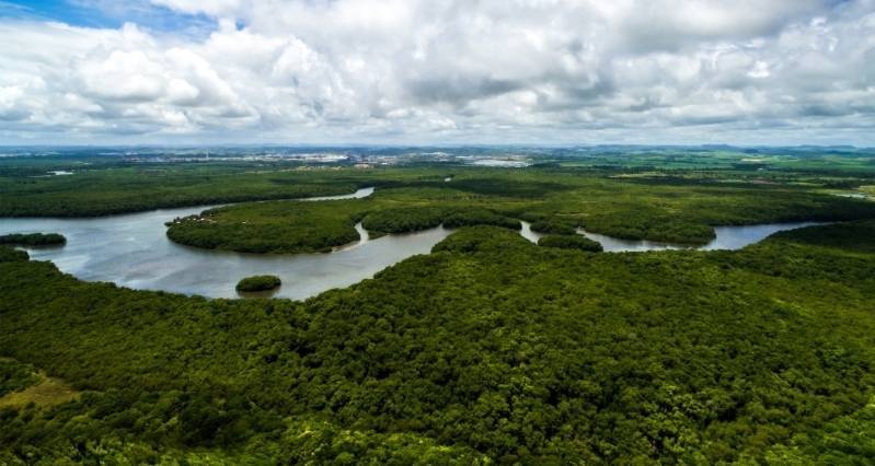 Place Amazonia