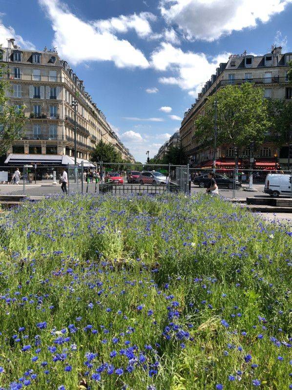 Lugares A Praça da República 