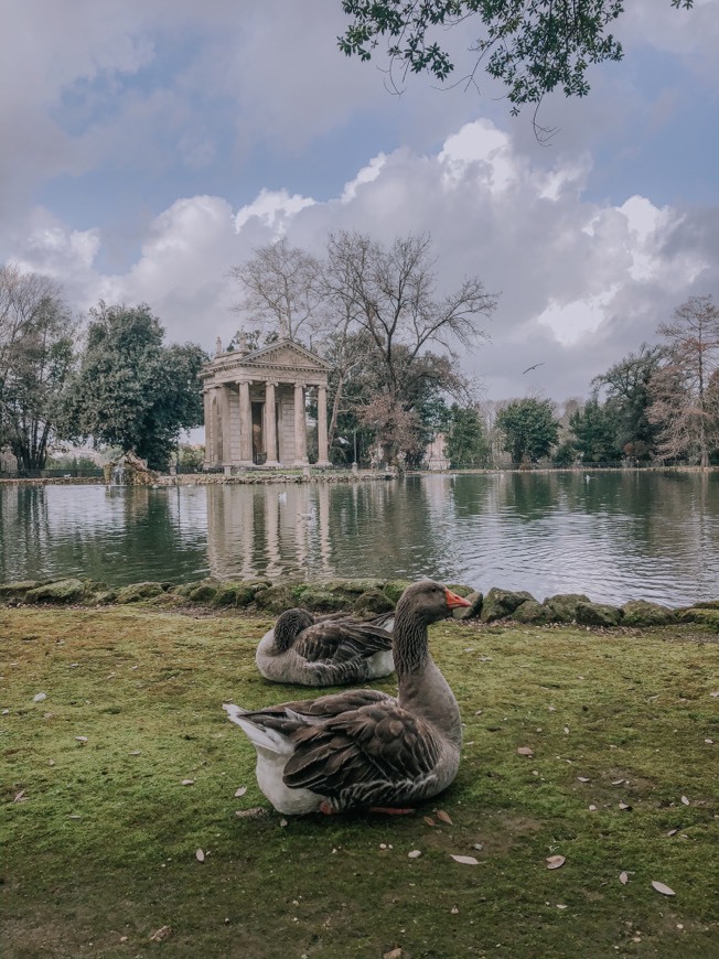 Place Villa Borghese