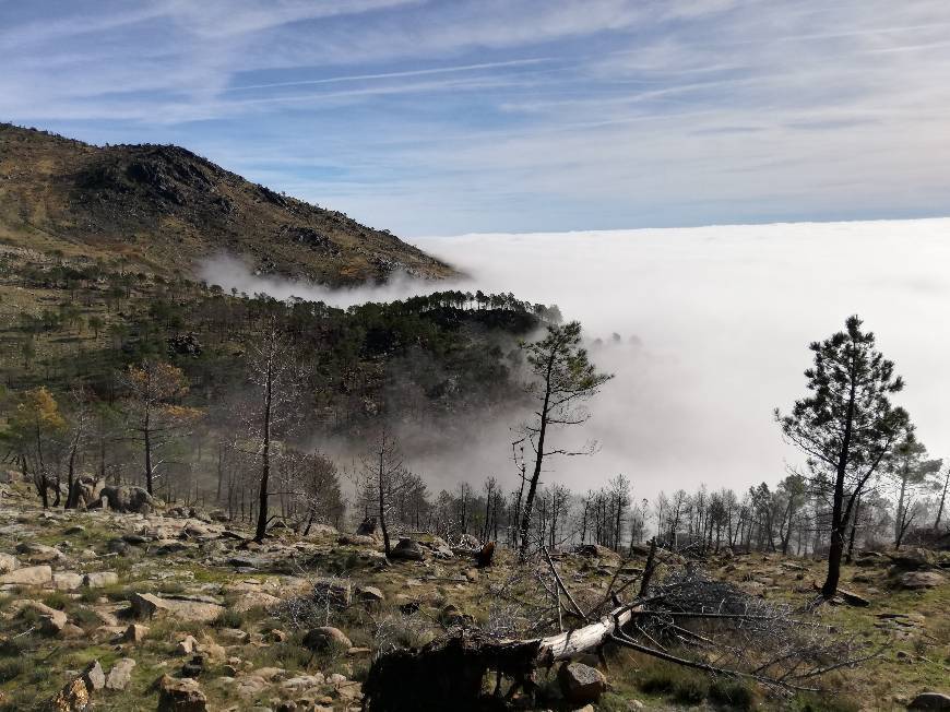 Lugar Serra da Estrela