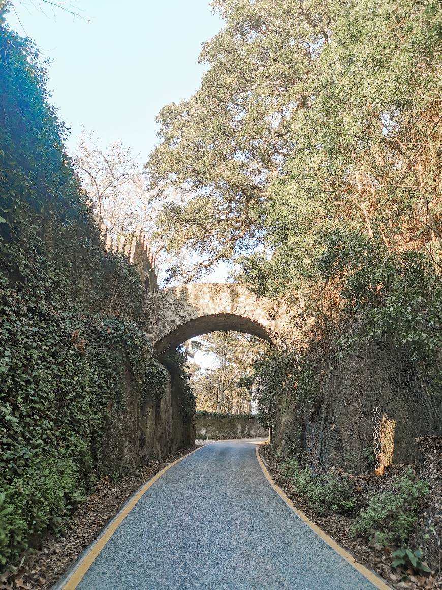 Place Sintra Mountains