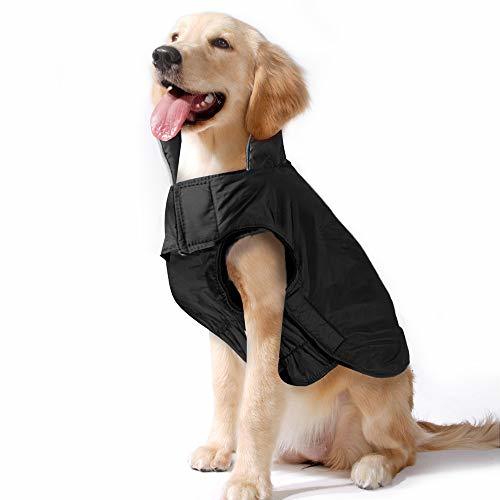 Lugar Pawaboo Dog Jacket