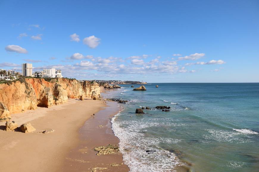 Place Praia dos Careanos