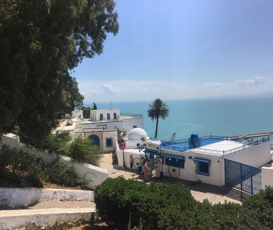 Place Sidi Bou Said