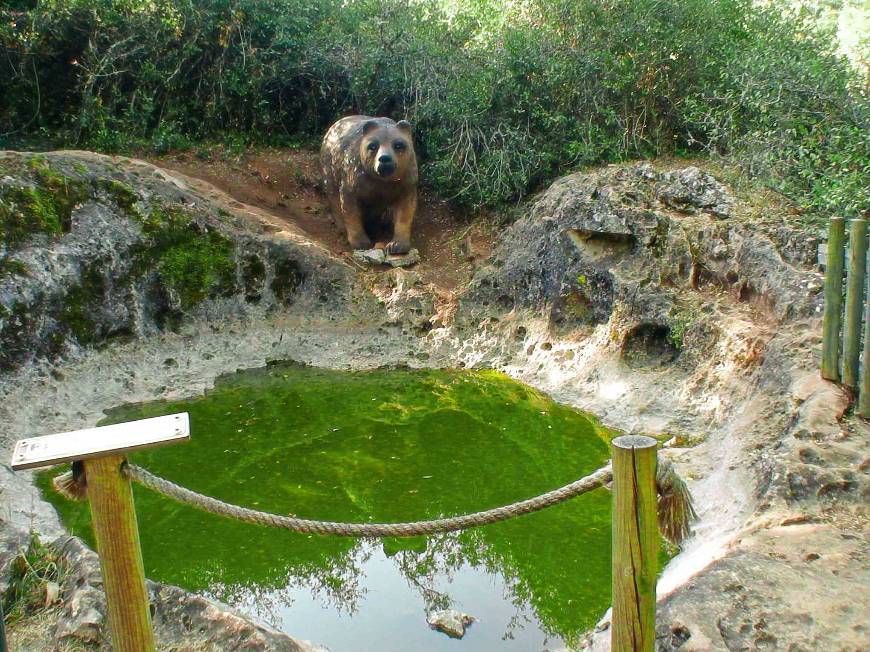 Place Sensory Ecopark of Pia do Urso