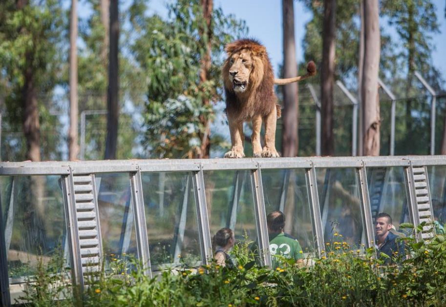 Place Santo Inácio Zoo