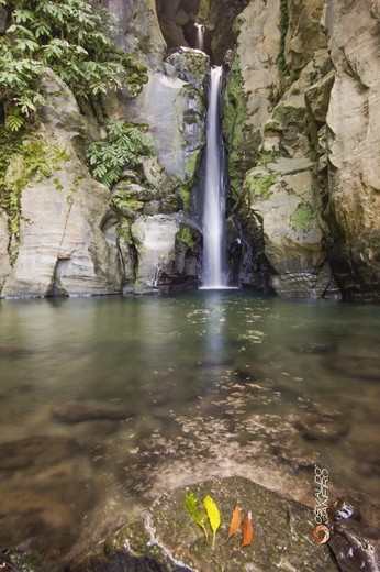 Salto do cabrito