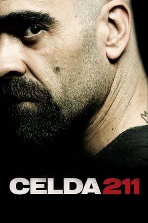 Cell 211