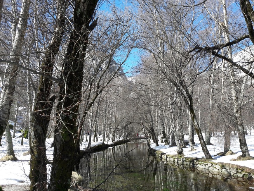 Place Serra da Estrela