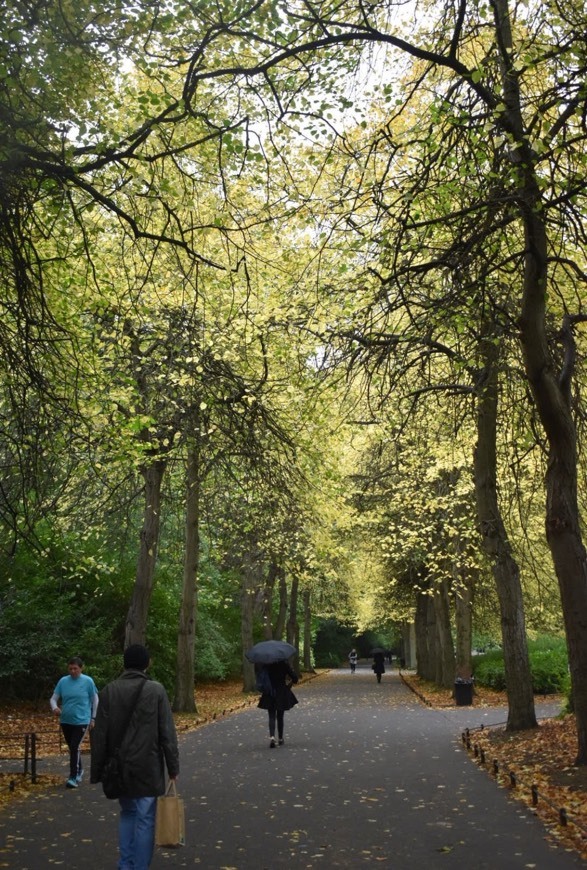 Lugar St. Stephen's Green