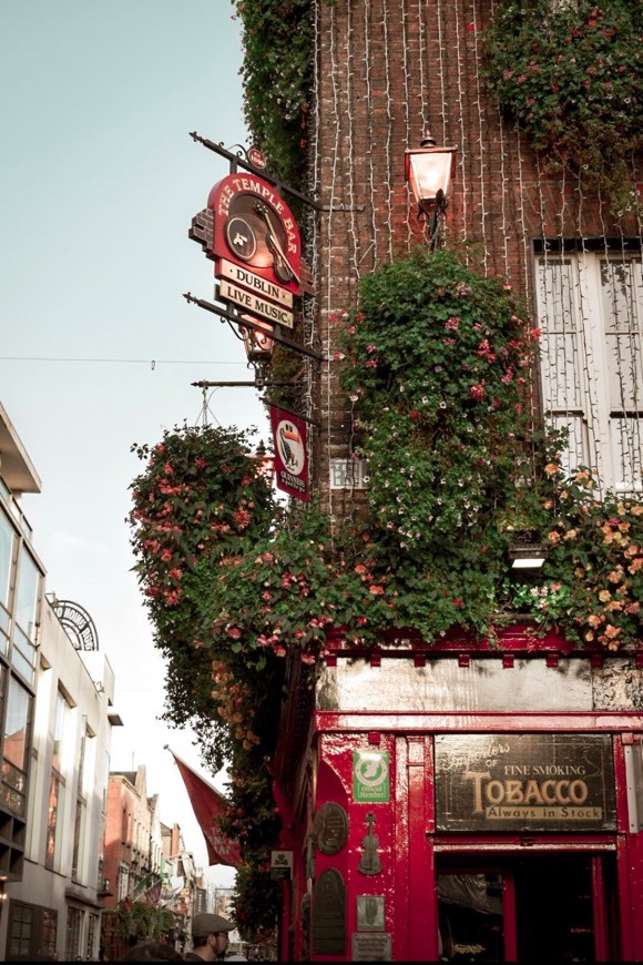 Restaurantes Temple Bar