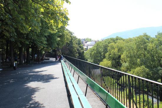 Place Banc de la treille