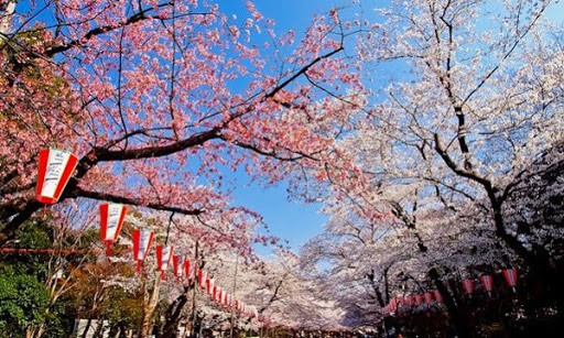 上野公園