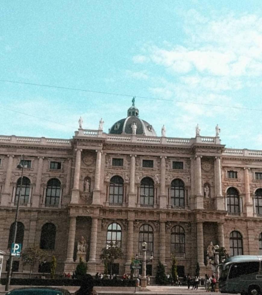 Lugar Museo de Historia Natural de Viena