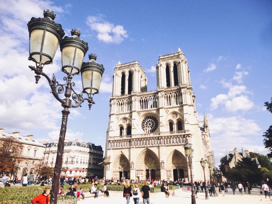 Place Catedral de Notre-Dame de Paris