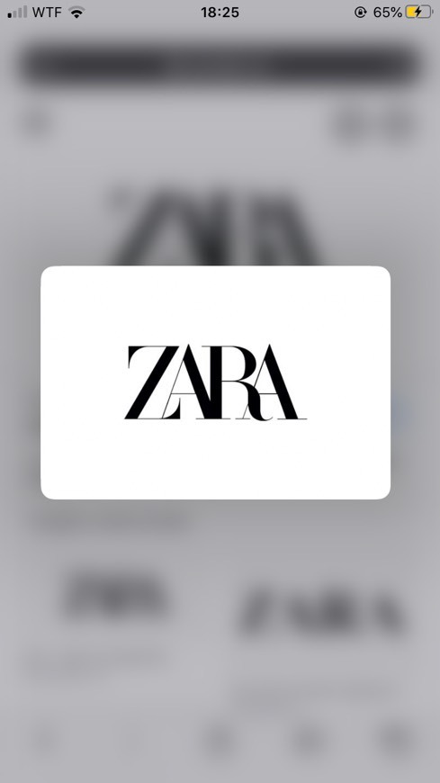 Product ZARA