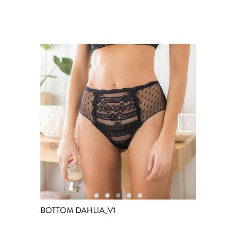 BOTTOM DAHLIA_