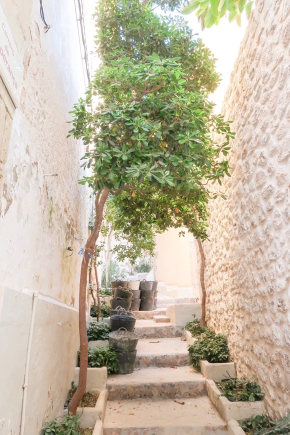 Dalt Vila, castle