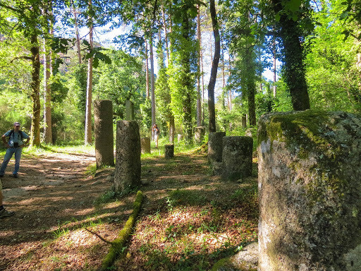 Lugar Mata da Albergaria (Gerês)