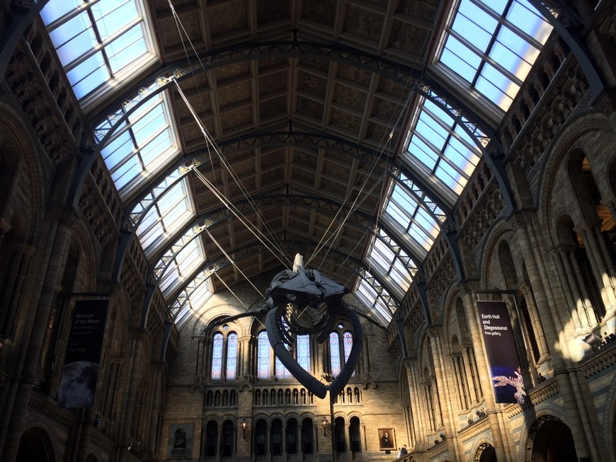 Place Natural History Museum