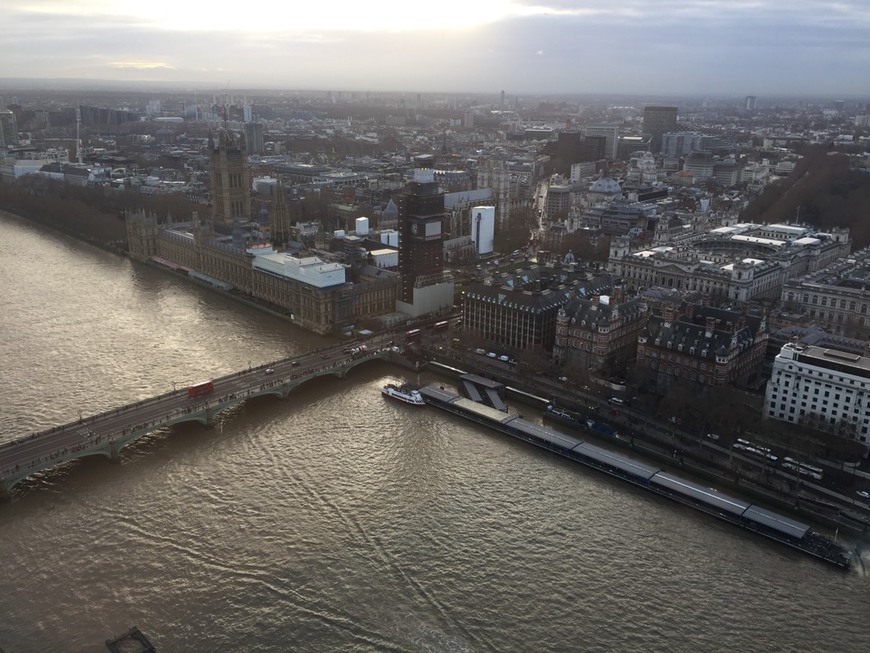 Place London Eye