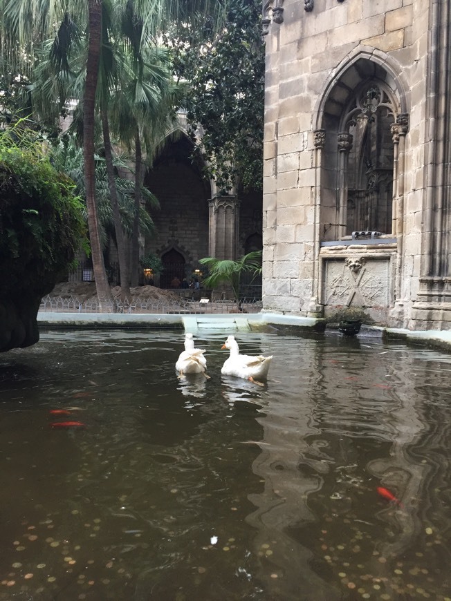 Place Catedral de Barcelona