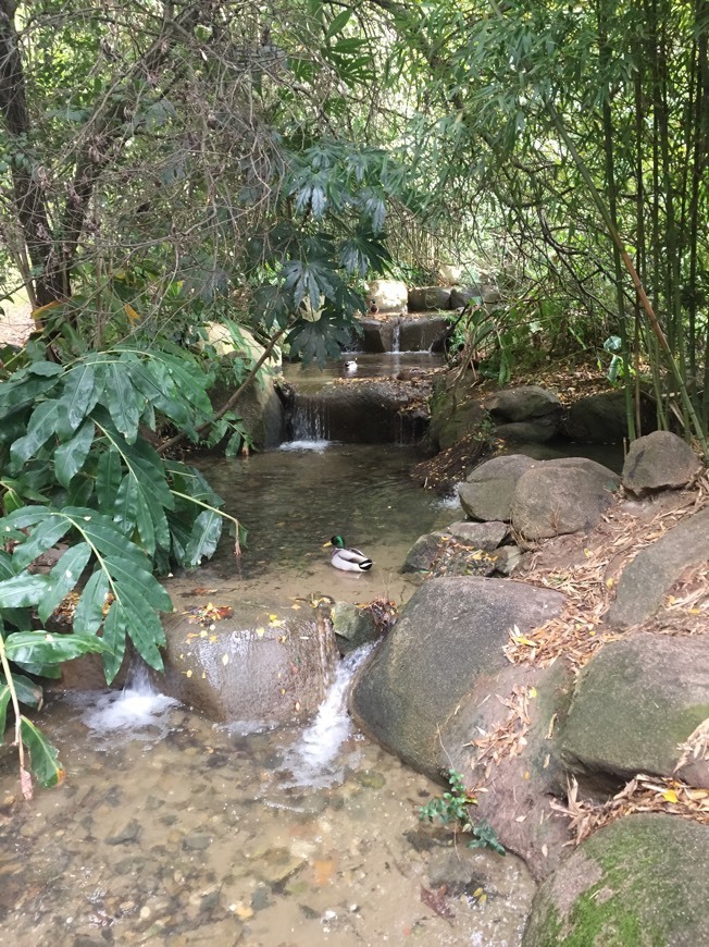 Lugar Parque Gulbenkian