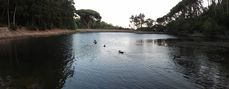 Lugar Lagoa Azul