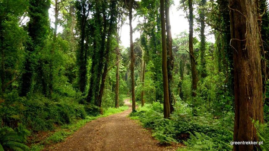 Place Sintra Mountains