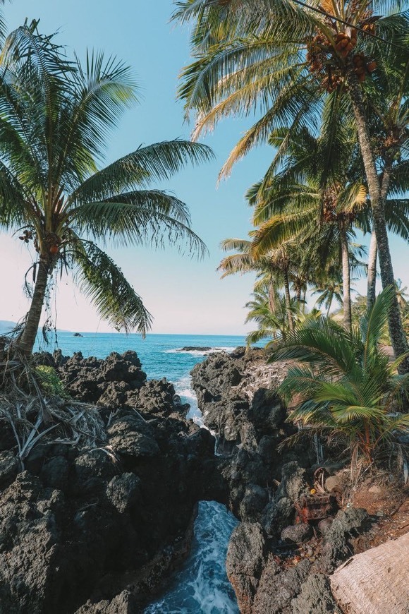 Lugar Maui🌴