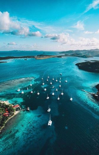 British Virgin Islands🇻🇬