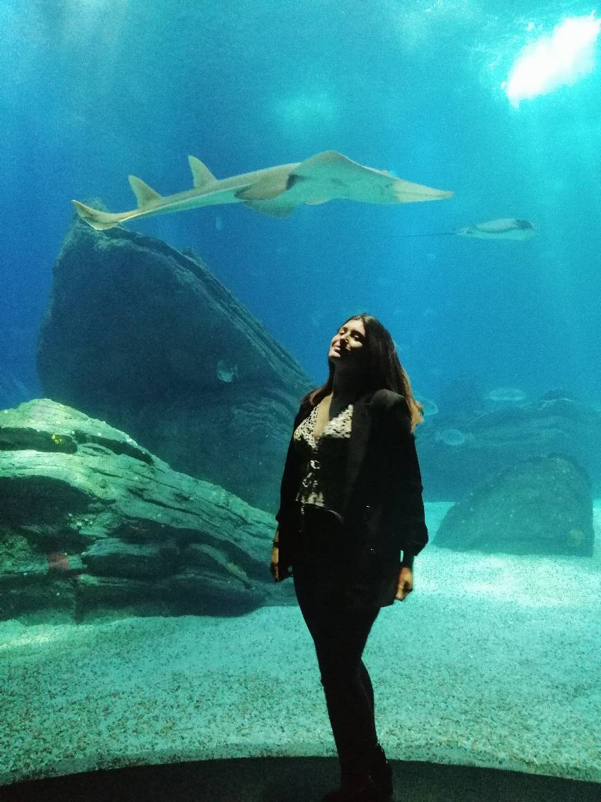 Lugar Oceanário de Lisboa