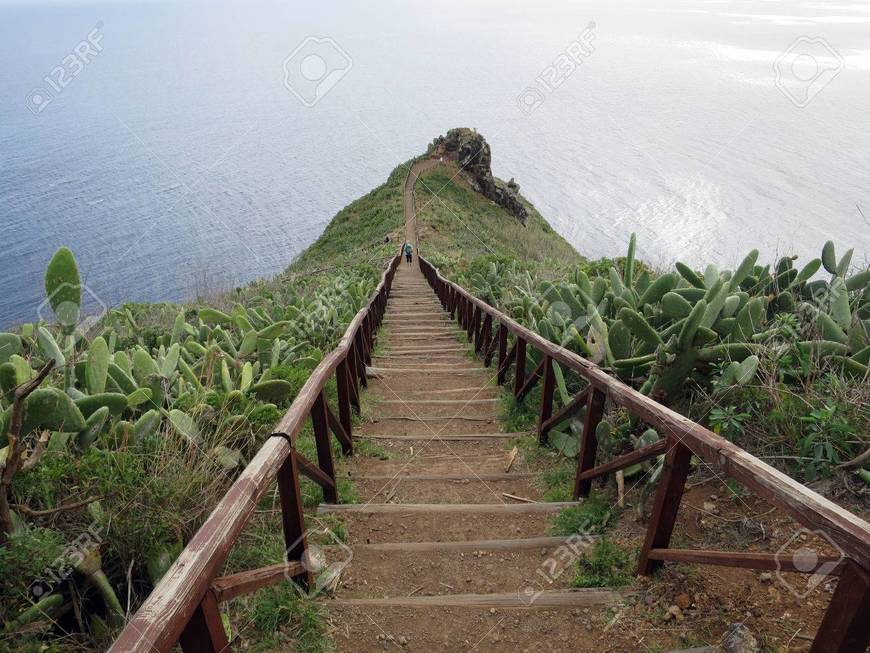 Place Ponta do Garajau