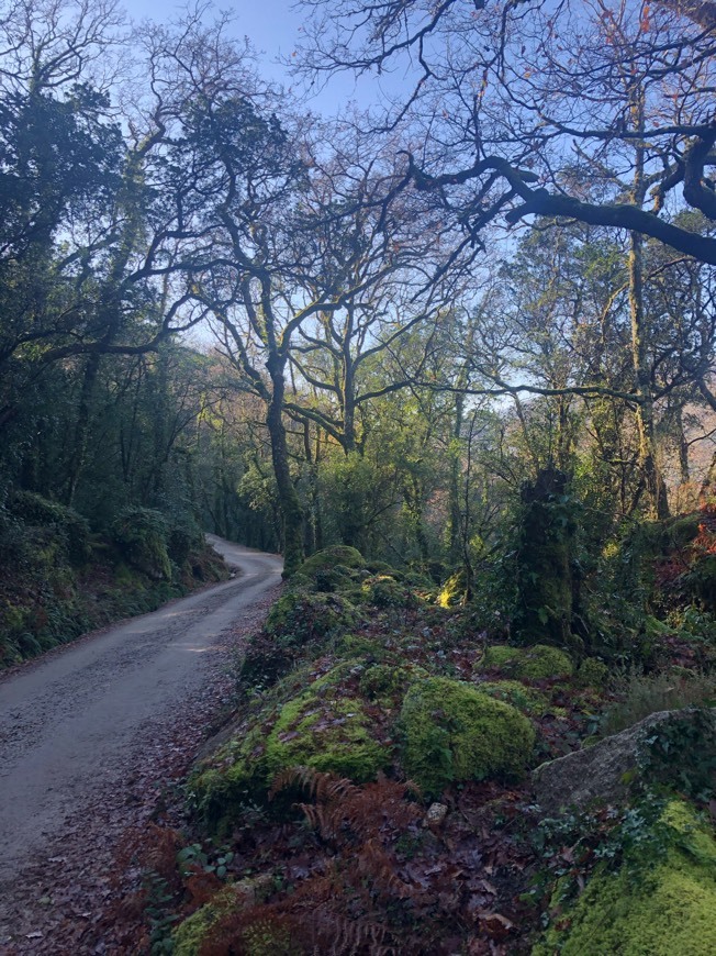 Lugar Mata da Albergaria (Gerês)