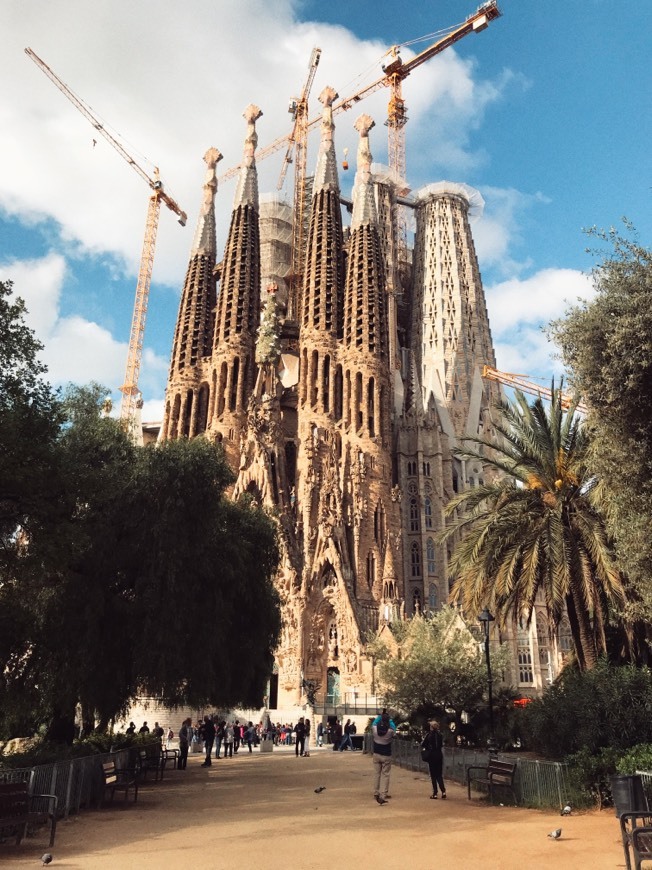 Lugar Basílica Sagrada Familia