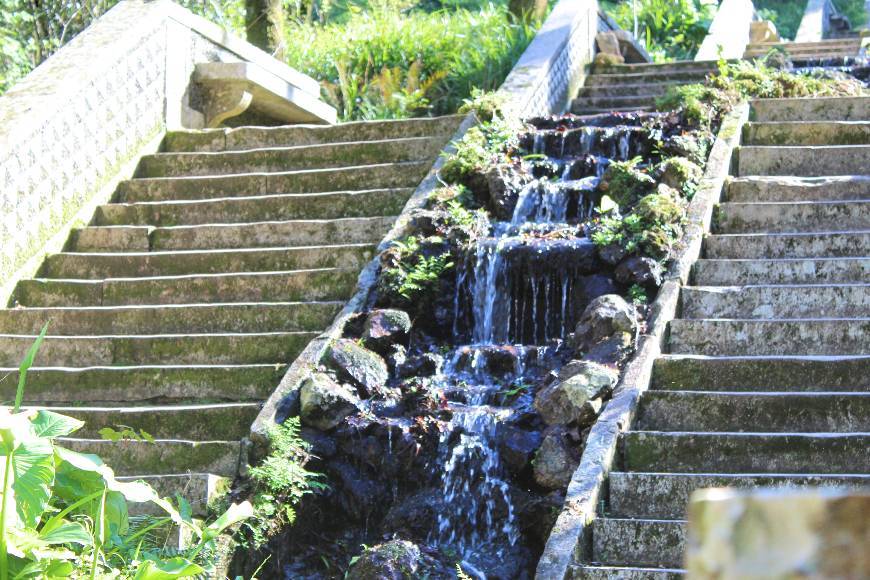 Place Mata Nacional do Buçaco